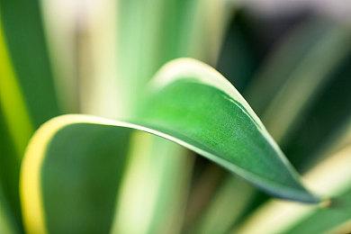 2D像素动作游戏《狗钩》2月10日发售 登陆PC和NS